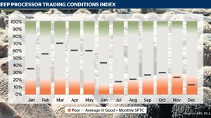 Lacklustre end to 2024 for sheep processing, so what's behind the downturn?