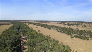 Maranoa's versatile exclusion-fenced Gladfield geared for 600 adult cattle