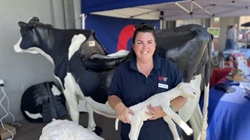 'She has a 35kg calf inside her': life-size birthing simulator on show