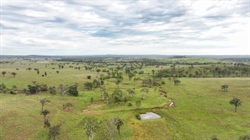 Cattle country for 450-500 breeders makes $1432/acre at auction | Video