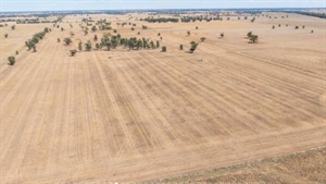 Well-balanced farming, grazing property Pineleigh heads to auction | Video