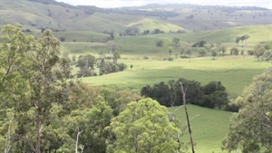 Scenic Rim grazing property capable of running 900 breeders hits the market