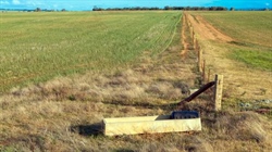 Cropping paddock sells at auction as a big month of farm sales kicks off