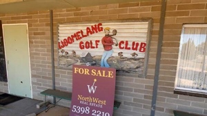 Par for the course | Falling population sees Mallee golf club go on sale