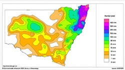 Urea, early forage crops in jeopardy in NSW as Alfred largely disappoints