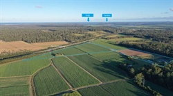 Versatile coastal farm with handy access to Yamba, Iluka beaches | Video