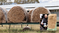 Kiwi farmer launches digestible bale net, but experts say there could be a catch