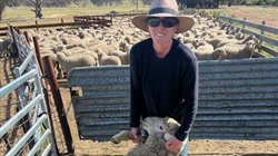 Wool industry fight to bring back customised footrot vaccine continues