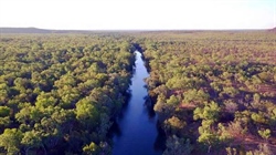 Major NT land clearing case dropped in out-of-court deal