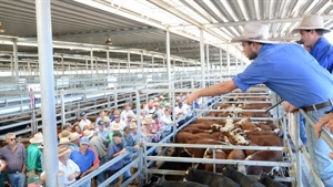 The world's in a mess, but farmer optimism on earnings outlook is rising