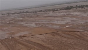 Counting the losses: The toll Qld flooding will have on sheep producers