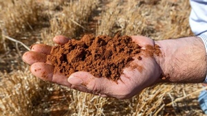 Farmland's record price run has stalled but rain can change all that
