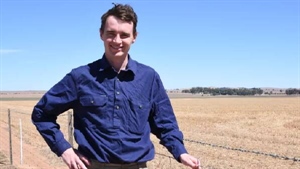 Dry growers through SA, Vic urged to minimise plantback risk in rotation