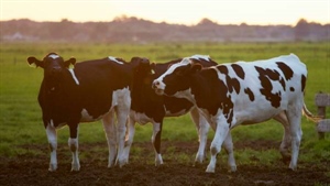 Significant progress made by dairy industry towards sustainability goals