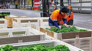Top SA vegetable grower puts its business on the market