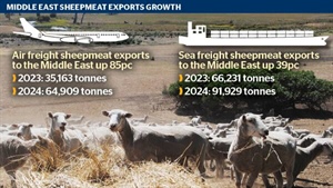 In the bag: how Middle East MK orders are affecting light lamb pricing