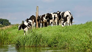 Water security critical to safeguard milk pool
