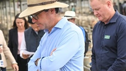 Key regional seat results: Nationals hold strong amid Coalition carnage