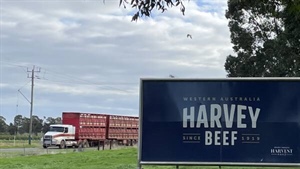 Forrests' Harvest Road snags prominent agribusiness boss as new CEO
