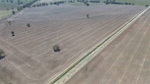 Moora Moora offers productive agricultural land with irrigation potential