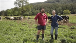 Optimising pasture variety selection helps productivity