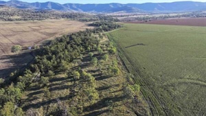 Large-scale property with outstanding farming, grazing country for sale