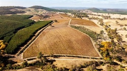Our collection of five smaller vineyards on the SA sales market today