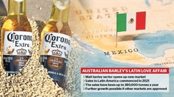 Aussie malt barley sector unlocks largest new market option in 30 years