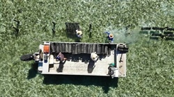 Kooringal presents as a large-scale oyster operation with massive potential