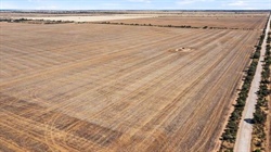 Final slice of family's YP farming land up for grabs for $5400 per acre