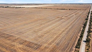 Final slice of family's YP farming land up for grabs for $5400 per acre
