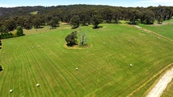 Productive High Country farm with hay, grazing and plantation on offer