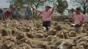 Elders posts 190pc profit leap despite drought taking $12m from agchem sales