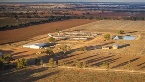 Impressive 10,692 acre Tara Moira complete with 4000 head feedlot | Video