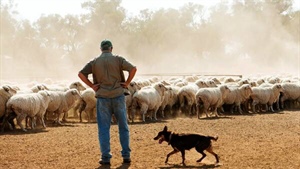 Farmland price growth spurred on by a sharp drop in properties for sale