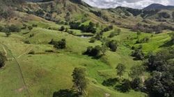 Mardiroo: Another highly-productive coastal cattle property hits the market
