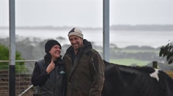 Shelter provides dairy cattle ultimate room with a view