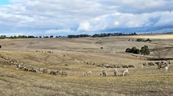 Western District farm listings offer entry-level farm opportunities