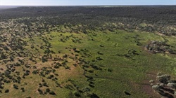 Tableland country and fertile creek flats deliver quality grazing | Video