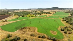 Multi-title Darling Downs property with four bitumen frontages | Video
