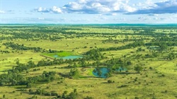 Lucie Station: Stand-out brigalow belt country heads to auction July 8