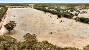 Affordable farm block north of Bendigo worth crunching the numbers
