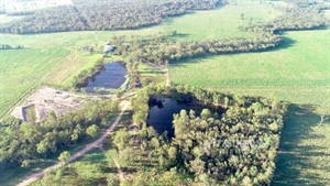Outstanding exclusion-fenced grazing country on the market for $4.4 million