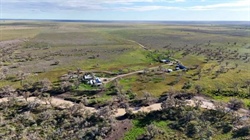'Best value' NSW cropping and grazing country comes to the market | Video