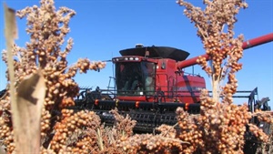 Queensland-based grain trading company enters liquidation according to GTA