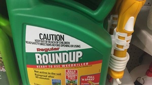 Italian report highlights concerns with glyphosate and cancer once again