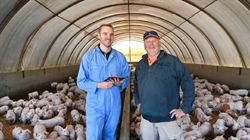 Piggery technology will allow farmers to remotely detect animal health issues