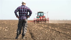 Future of farm finance: Blueprint to access cash on the road to net-zero
