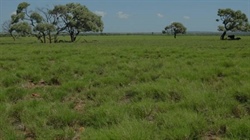 Well-positioned Barragunda sold following expressions of interest campaign