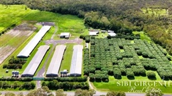 RSPCA-approved poultry farm an investment opportunity with immediate income
